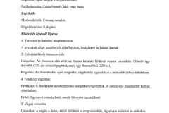 04-Szakmai-beszamolo-acs-4