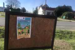 Automentes-nap-plakat-11