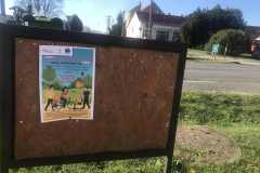 Automentes-nap-plakat-15