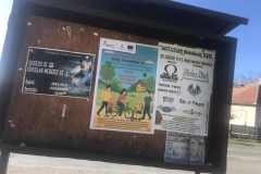 Automentes-nap-plakat-3