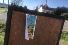 Automentes-nap-plakat-6