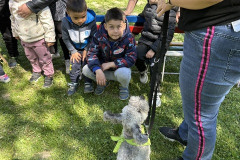 IMG_0649