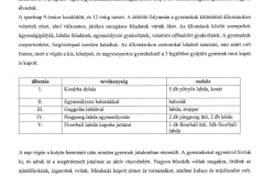 Szakmai-beszamolo-Ovodai-sportnap-2026-oldal2